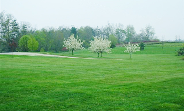 lawn care school